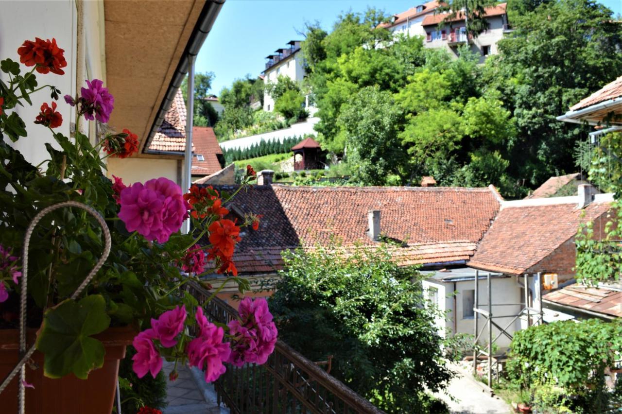 Eco Studio Braşov Exterior foto