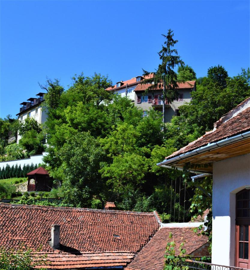 Eco Studio Braşov Exterior foto